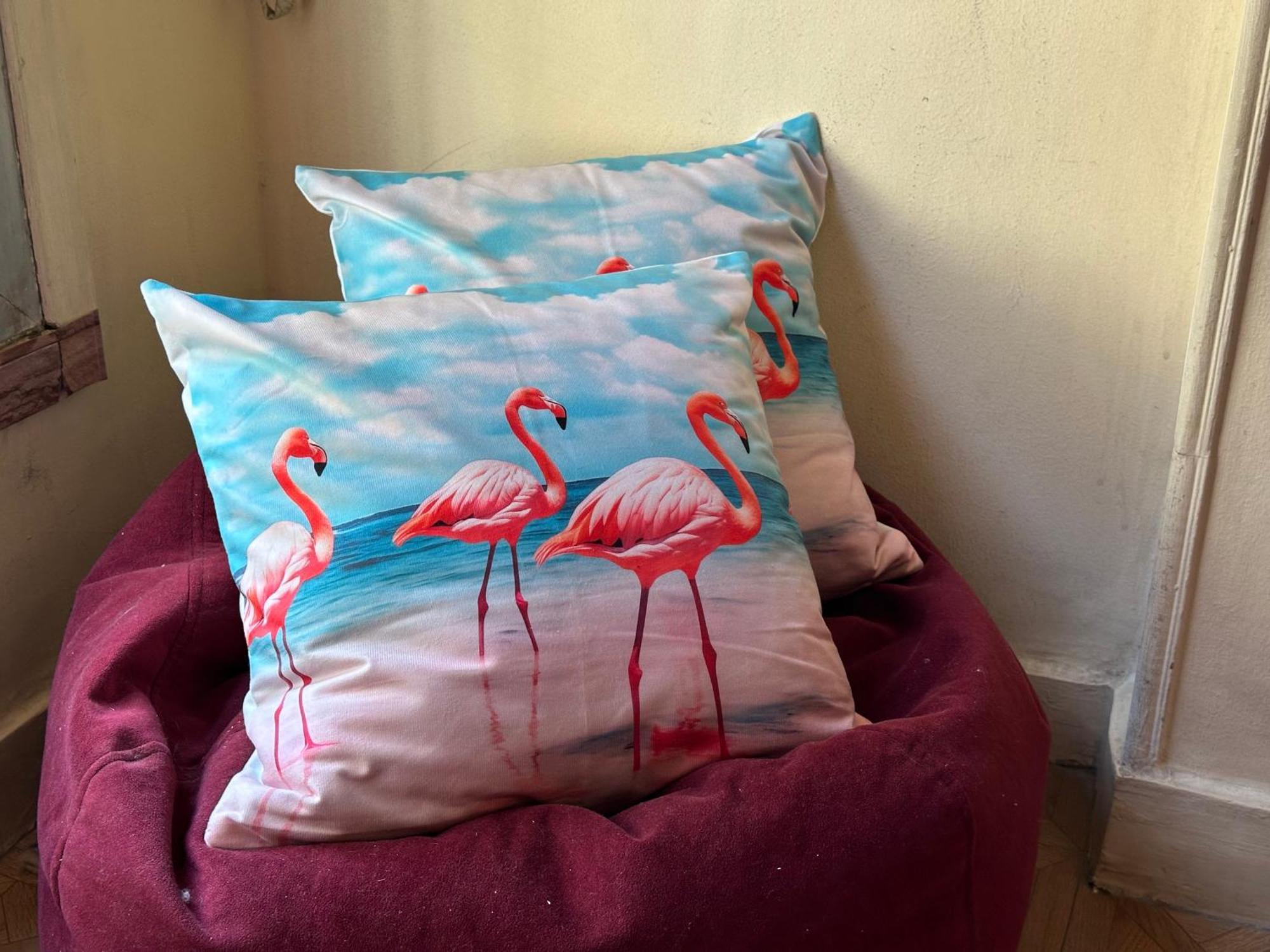 Flamingo 5 Stars Cozy Room - With Ac Kahire Dış mekan fotoğraf